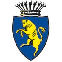 Comune di Torino logo - Similar company to Boostabruzzo