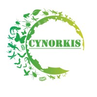 CYNORKIS logo - Similar company to Oce
