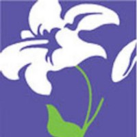 Palmer Flowers, Llc.