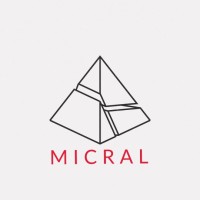 MICRAL logo - Similar company to Micral Automatisering Bv