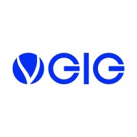 VGIG Pte Ltd logo - Similar company to Selfsells*