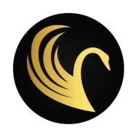 Lir Executive Chauffeur Service logo - Similar company to Accidental Claim Help