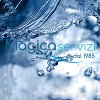 Magica Servizi srl logo - Similar company to Bis Records Ab