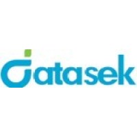 Datasek Systems logo - Similar company to Echiw Ltd
