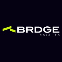 BRDGE Insights logo - Similar company to Startup Smart Kids