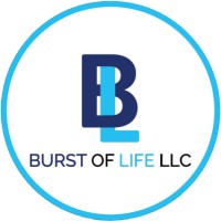 Burst of Life logo - Similar company to Junk-It-Quick