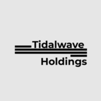 Tidalwave Holdings logo - Similar company to Ff Logistics