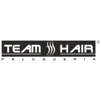 Team Hair logo - Similar company to Mi Ranchito Spa