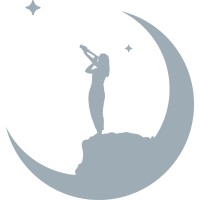 Night Sky Consulting Ltd logo - Similar company to Southeast Child & Family Services