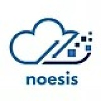Noesis Infotech logo - Similar company to Nirvana Technologies