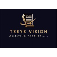 TSEYE VISION logo - Similar company to Ultra+ Business Solutions Llp (Ubs)