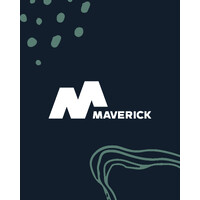 MST Holding Company (Pty) Ltd t/a Maverick Events logo - Similar company to She Designs Ltd