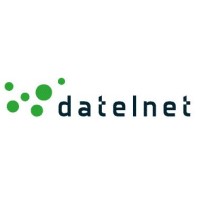 Datelnet Group logo - Similar company to Dve