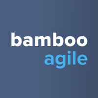 Bamboo Agile logo - Similar company to Axmit