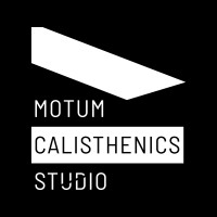MOTUM SRL logo - Similar company to The Action Srl