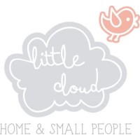 Little Cloud logo - Similar company to Llbfsa