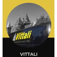 Vittali v.o.f. logo - Similar company to Diagnotix • ••