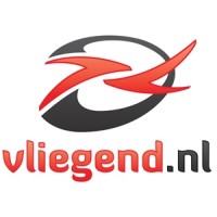 Vliegend.nl logo - Similar company to Pronex Advies