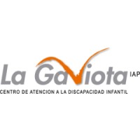 La Gaviota IAP logo - Similar company to Fundación Dar Y Amar Daya, I.A.P.