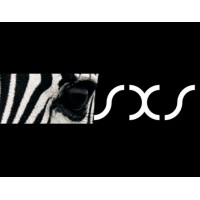 STRATEGY X Solutions Ltd logo - Similar company to X-Connect Ltd
