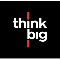 ThinkBig.dev logo - Similar company to Reliability System Llp