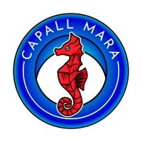 Capall Mara - Franchise Business Coach logo - Similar company to Bridge