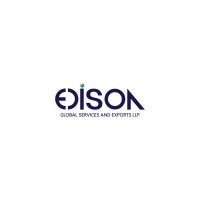 EGSE International logo - Similar company to Egse Solutions