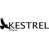 Kestrel Insights logo - Similar company to Kestrel