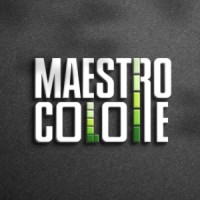 Maestro Colore logo - Similar company to Caspy Concept