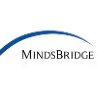 MindsBridge Consulting logo - Similar company to Mevisha Foundation