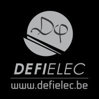 DEFI ELEC logo - Similar company to Bruelec
