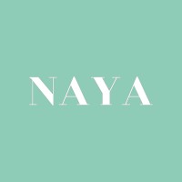 NAYA ESPEJOS LATAM logo - Similar company to Bdn