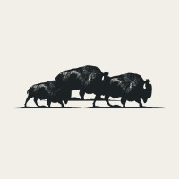 Stampede Consulting logo - Similar company to Dpo Danmark Aps