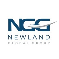 Newland Global Group logo - Similar company to Bbv Forum (Bharat Bhagya Vidhata Forum)