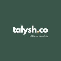 talysh.co logo - Similar company to Digitter