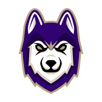 University of Washington Esports logo - Similar company to Eddy Peng Design