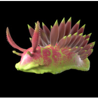 NUDIBRANCH magazine logo - Similar company to Nudibranches Technologies