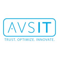 AVS IT logo - Similar company to Anl It