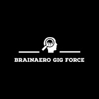 BRAINAERO GIGFORCE PVT logo - Similar company to Impact Risk Analytics