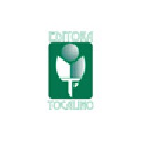 Editora Tocalino logo - Similar company to Editora Dos Editores