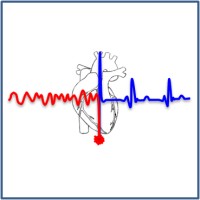 Cardiac Revival Machines logo - Similar company to Center For Learning And Development