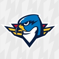 Springfield Thunderbirds logo - Similar company to Naples Realty Group