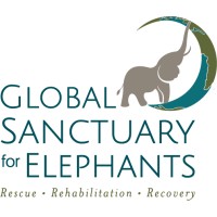 Global Sanctuary for Elephants logo - Similar company to Castlerock Conservation