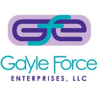Gayle Force Enterprises, LLC logo - Similar company to Bdw360