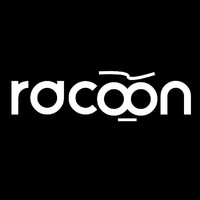 Racoon logo - Similar company to Racoon Technologies