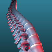 Complete Wellness Chiropractic logo - Similar company to Associazione Myself