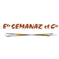 SEMANAZ logo - Similar company to Hvac Technology & Industry