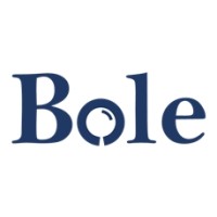 Bole Consulting Indonesia logo - Similar company to Curate Experiences