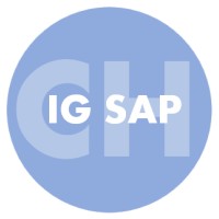 IG SAP CH logo - Similar company to Progresuisse