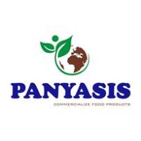 PANYASIS SL logo - Similar company to Codebayco